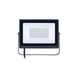 Ecolink Floodlight 100W CW TR - ECOLINK