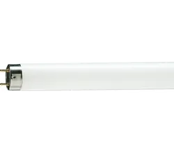 Master TL-D 36W Snow White T8 Floresan - PHILIPS