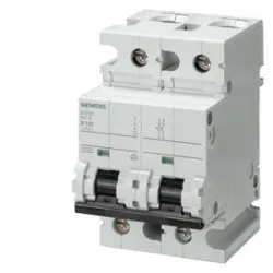 5SP4 C TİPİ 2x100A 10kA 2FAZLI OTOMAT - 1